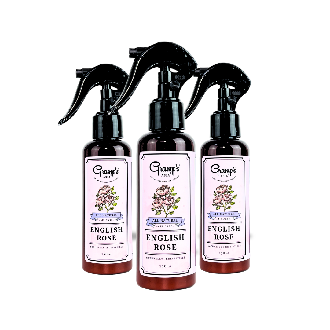 COMBO ENGLISH ROSE